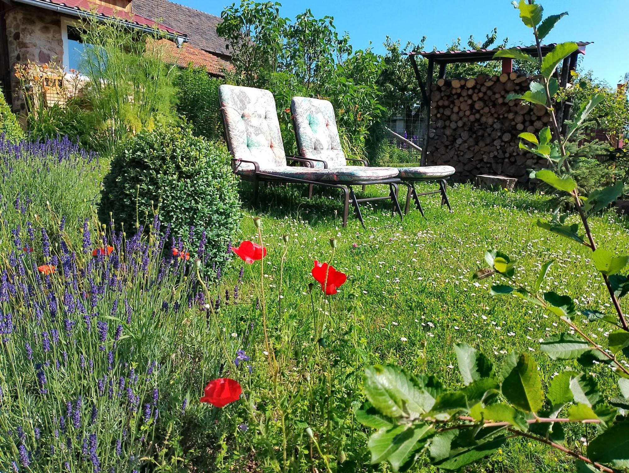 Loft Eifel Idylle Nettersheim Exterior foto
